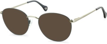 SFE-11111 sunglasses in Grey/Silver