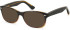 SFE-11079 sunglasses in Brown Gradient