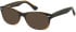 SFE-11079 sunglasses in Brown Gradient