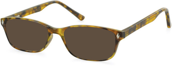 SFE-11075 sunglasses in Tortoiseshell