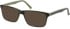 SFE-11069 sunglasses in Black/Grey