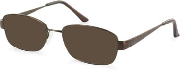 SFE-11053 sunglasses in Bronze
