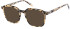 O'Neill ONB-4031 sunglasses in Milky Tortoise