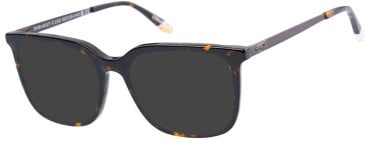 O'Neill ONB-4017 sunglasses in Tortoise Brown