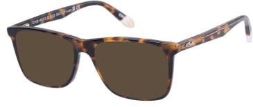 O'Neill ONB-4011 sunglasses in Gloss Tortoise