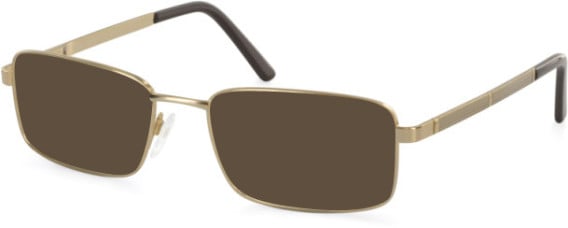 Hero For Men HRO-4248-49 sunglasses in Gold
