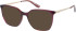 Superdry SDO-2020 sunglasses in Burgundy Tan