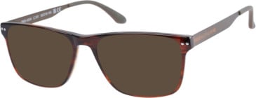 O'Neill ONO-4504 sunglasses in Gloss Bwn/Horn