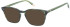 O'Neill ONB-4013 sunglasses in Green Horn