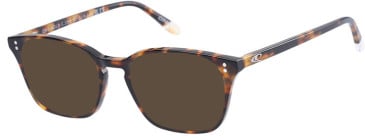 O'Neill ONB-4013 sunglasses in Gloss Tortoise