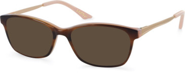 Episode EPO-274 sunglasses in Chocolate