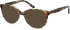 Episode EPO-265 sunglasses in Brown