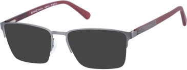 Botaniq BIO-1040 sunglasses in Gun Red