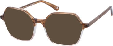 Botaniq BIO-1036 sunglasses in Brown Fade Wood