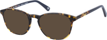 Botaniq BIO-1028 sunglasses in Tortoise Red Navy