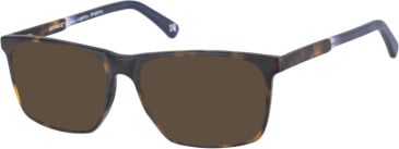 Botaniq BIO-1026 sunglasses in Matt Tortoise