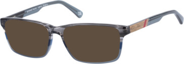 Botaniq BIO-1024 sunglasses in Grey Horn Wood
