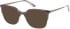Superdry SDO-2020 sunglasses in Nude Horn