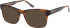 Superdry SDO-2013 sunglasses in Tortoise