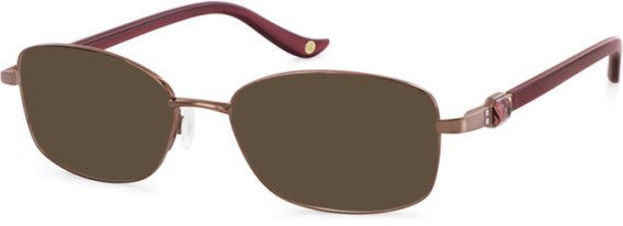 Puccini PCO-322 sunglasses in Bronze