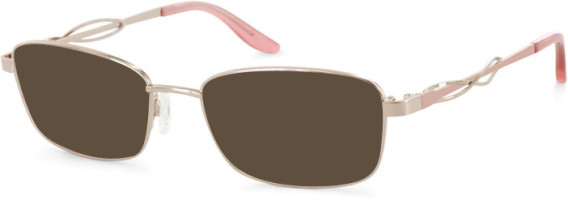 Puccini PCO-316 sunglasses in Rose Gold