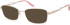 Puccini PCO-316 sunglasses in Rose Gold