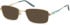 Puccini PCO-313 sunglasses in Bronze