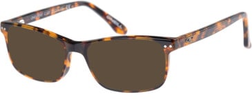 O'Neill ONO-TRENT sunglasses in Gloss Tortoise