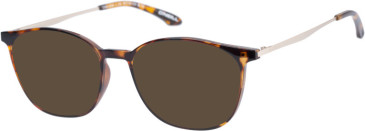 O'Neill ONO-4530 sunglasses in Gloss Tortoise Gold