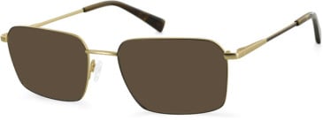 Hero For Men HRO-4311 sunglasses in Brown/Gold