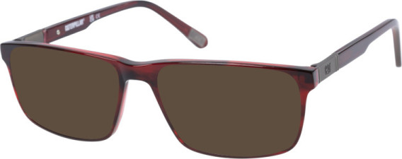 CAT CTO-3013 sunglasses in Gloss Burgundy