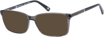 Botaniq BIO-1014 glasses in Gl grey
