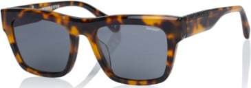 Superdry SDS-5011 sunglasses in Tortoiseshell