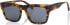 Superdry SDS-5011 sunglasses in Tortoiseshell