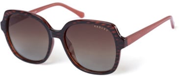 Radley RDS-6505 sunglasses in Tortoiseshell