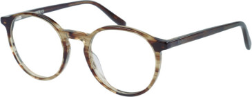 Barbour BAO-1002 glasses in Horn