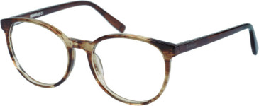Barbour BAO-1009 glasses in Horn