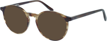 Barbour BAO-1002 sunglasses in Horn