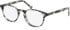 SFE-11104 glasses in Grey