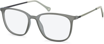 SFE-11143 glasses in Grey
