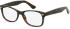 SFE-11079 glasses in Tortoiseshell