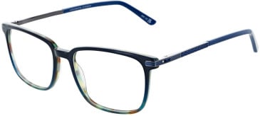 Cameo Lewis glasses in Blue