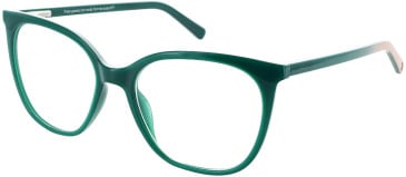 Cameo Sustain Meadow glasses in Green