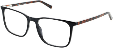 Cameo Sustain Verdant glasses in Tort