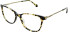 L.K. Bennett L.K.Bennett 73 glasses in Leopard Havana