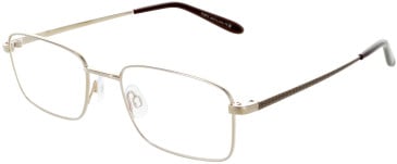 Puriti Puriti 16 glasses in Gold