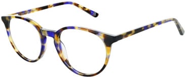 Zenith Zenith 101 glasses in Tort