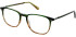 Walter & Herbert Darwin glasses in Olive Topaz
