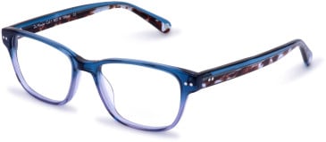 Walter & Herbert Du Maurier glasses in Blue