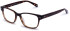 Walter & Herbert Du Maurier glasses in Brown
